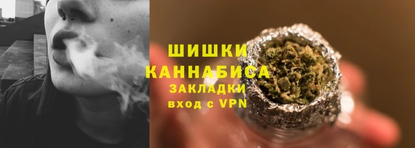 крисы Кулебаки
