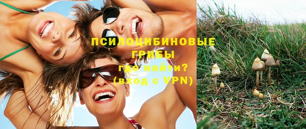 амф Алексин