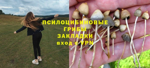 винт Абинск