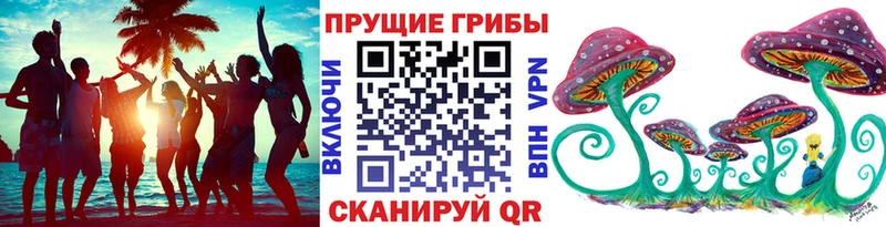 Псилоцибиновые грибы прущие грибы  Циолковский 