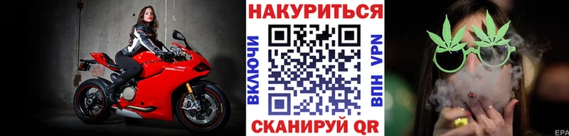 Шишки марихуана марихуана  цена   Циолковский 